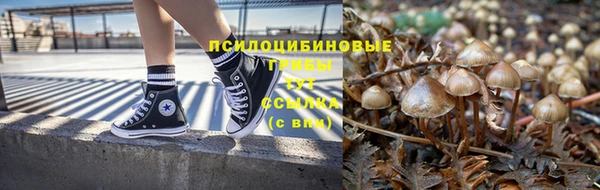 амф Алексеевка